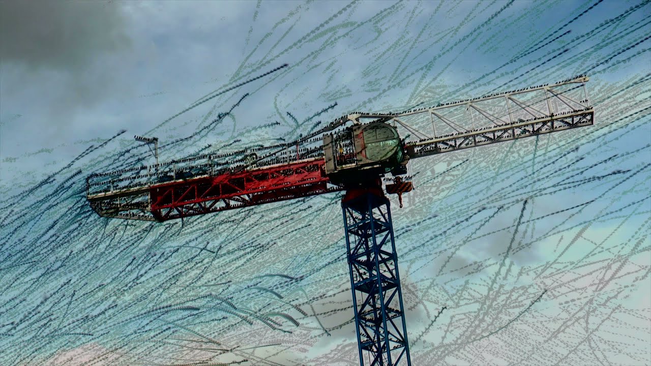 Traces | Birds - Jean-Michel Rolland  (1/12)